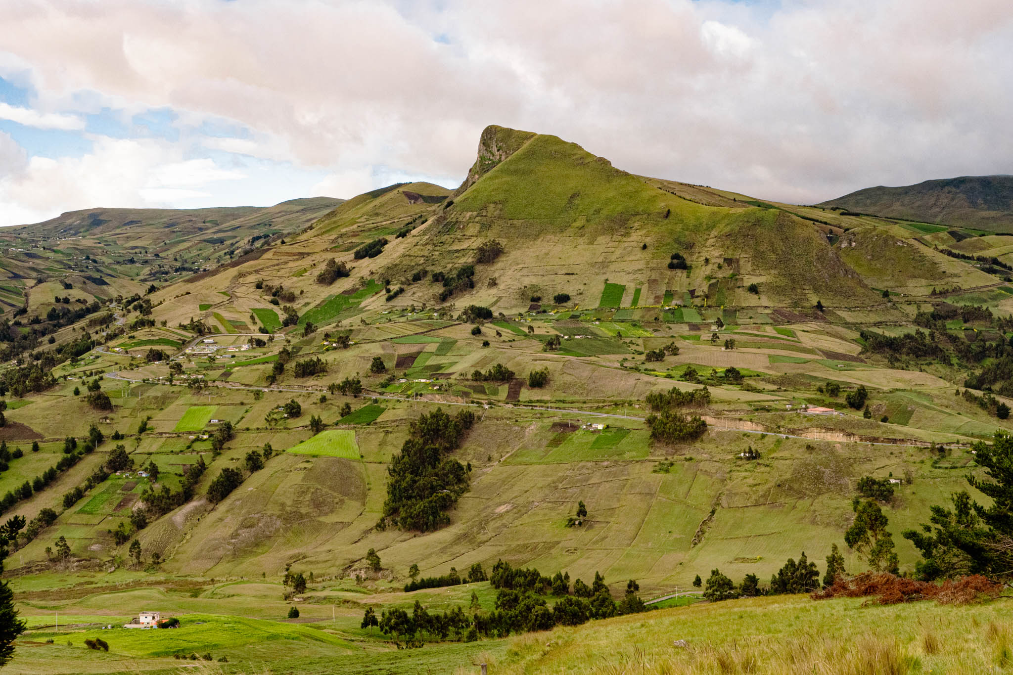 Tigua